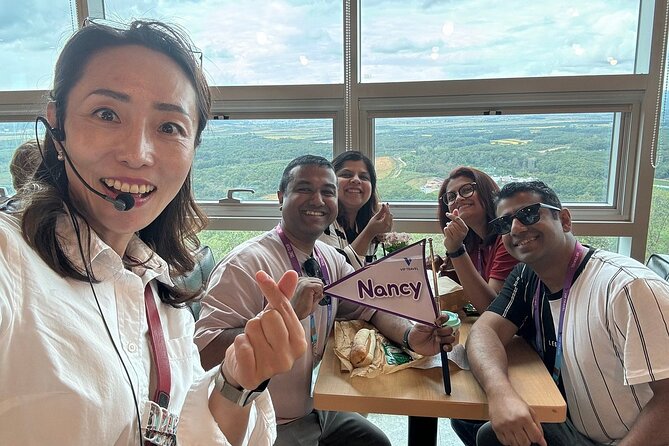Seoul City Private Tour (Optional : Seoul, DMZ, Nami Island) - DMZ option: history-focused time with admissions typically on you