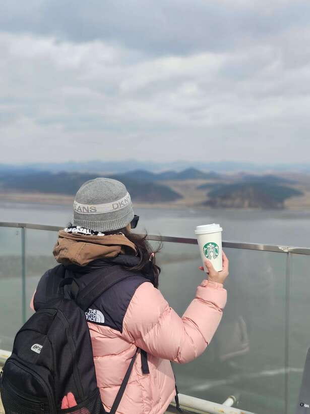 Seoul: Closest DMZ Observatory with North Korea View (1.4km) - Who this tour suits best