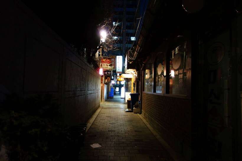 Seoul: Dark Side of the City and Ghost Stories Walking Tour - What you see: palaces, streams, parks, and back alleys