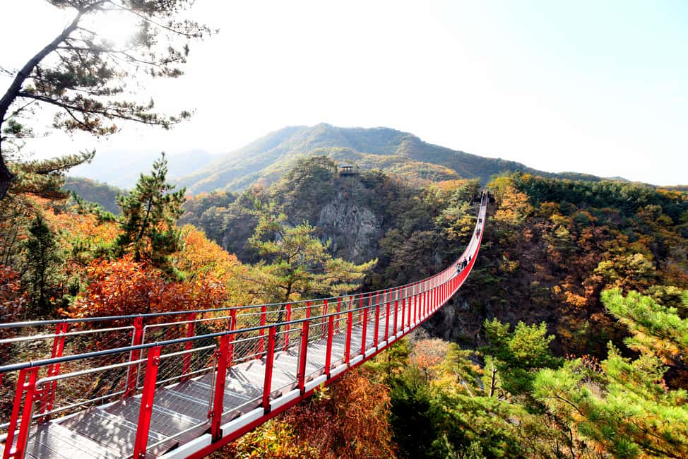Seoul: DMZ Tour with Optional Suspension Bridge - Key things to know before you go