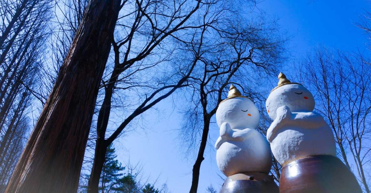 Seoul: Elysian Gangchon Winter Ski with Nami Island Day Tour - Key points worth knowing before you go