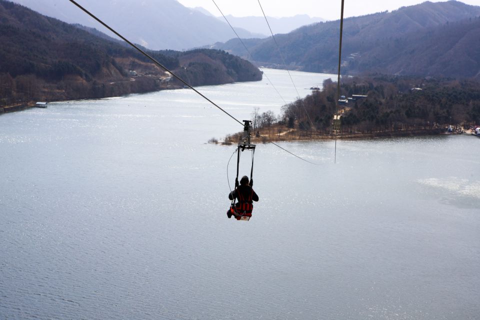 Seoul: Elysian Gangchon Winter Ski with Nami Island Day Tour - Who this tour is best for (and who should choose differently)
