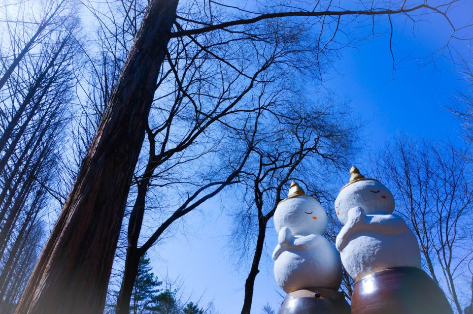 Seoul: Elysian Gangchon Winter Ski with Nami Island Day Tour - What to do during free time on the slopes