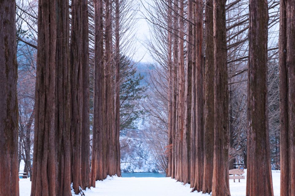 Seoul: Elysian Gangchon Winter Ski with Nami Island Day Tour - Gear rental and add-ons: what you might still need to buy
