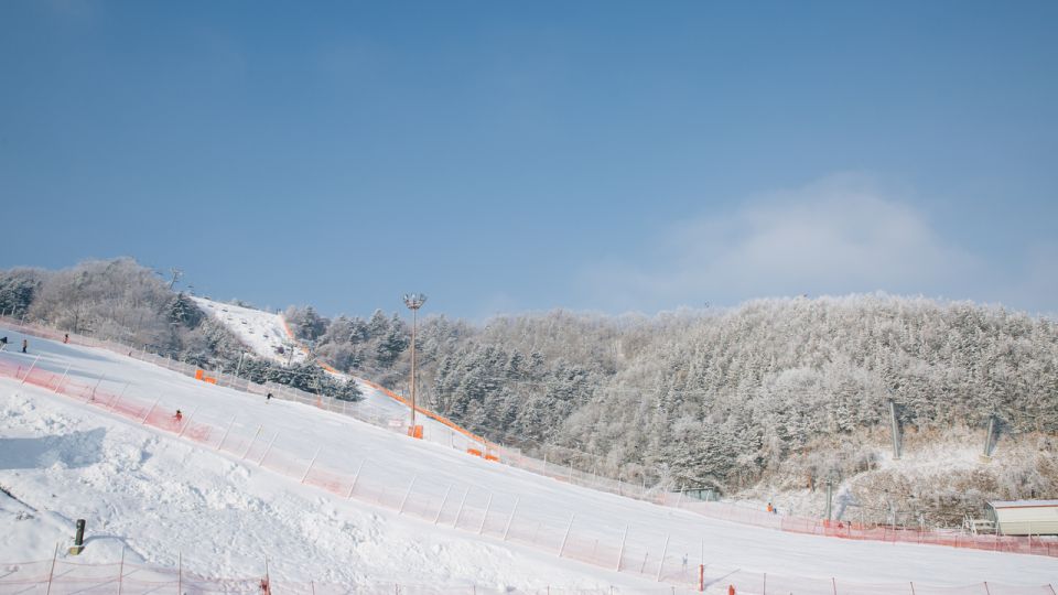 Seoul: Elysian Gangchon Winter Ski with Nami Island Day Tour - Timing that matters: how the day is structured