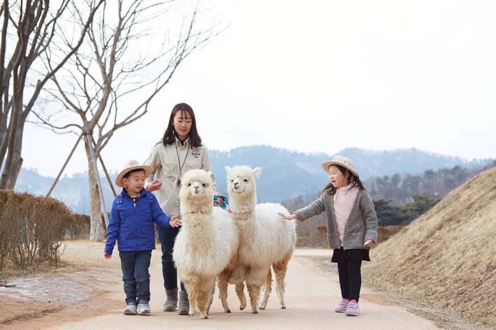 Seoul: Eobi Ice Valley, Alpaca World, Nami Island and More - Key things I’d lock in before you go