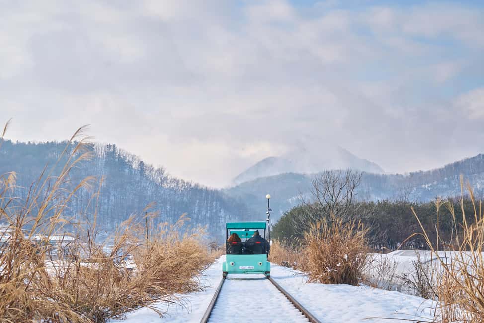 Seoul: Eobi Ice Valley, Alpaca World, Nami Island and More - Eobi Ice Valley: icicles first, camera time fast