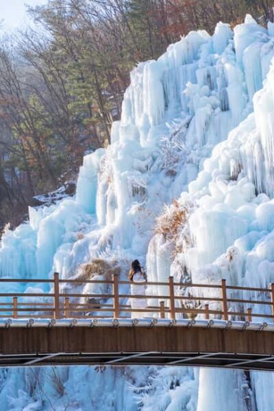 Seoul: Eobi Ice Valley, Alpaca World, Nami Island and More - Getting your expectations right for each stop