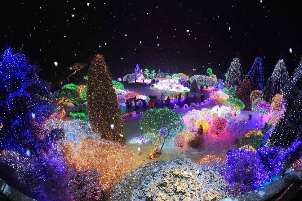 Seoul: Eobi Ice Valley, Alpaca World, Nami Island and More - Coach time: what the schedule means for your comfort