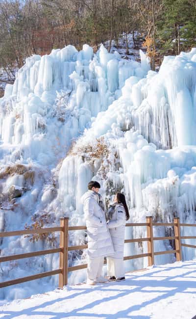 Seoul: Eobi Ice Valley, Alpaca World, Nami Island and More - Value check: why $83 can make sense here