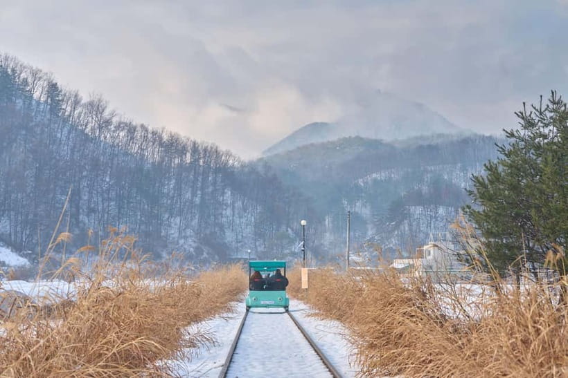 Seoul: Eobi Valley(Winter), Strawberry, Nami Island and Bike - The Big Picture: Why This Mix Works for a One-Day Escape