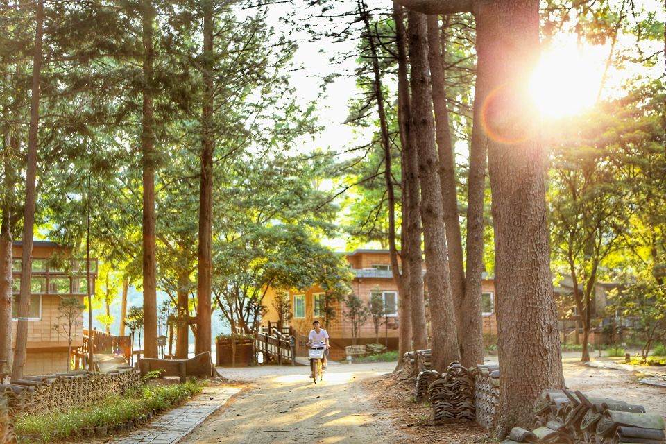 Seoul: Eobi Valley(Winter), Strawberry, Nami Island and Bike - Nami Island: Tree-Lined Walks, K-Drama Fame, and Time to Bike or Stroll