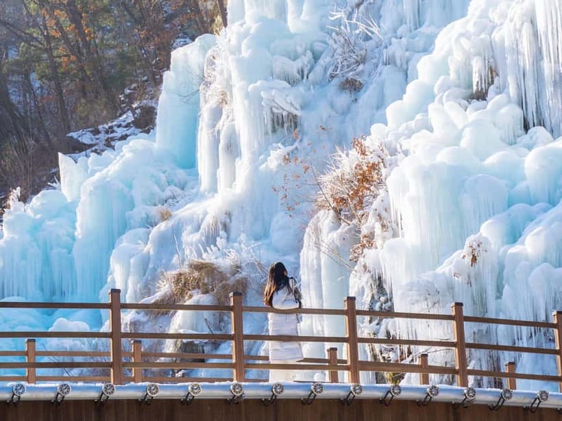 Seoul: Eobi Valley(Winter), Strawberry, Nami Island and Bike - Should You Book? My Quick Decision Guide