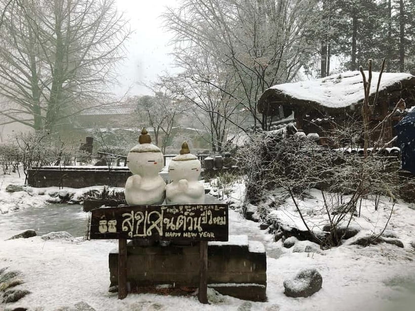 Seoul: Eobi+Nami+Hanbok(+RailBike or Strawberry Options)Tour - Price and Value: What $51 Really Buys