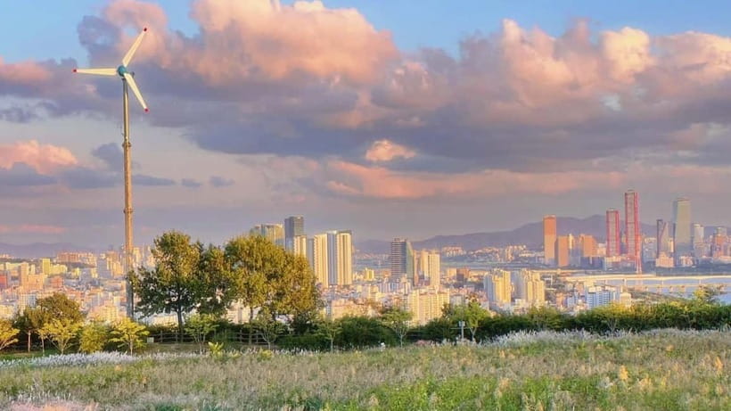 Seoul Full-Day City Tour: Hanok Village, Scenic Routes - Key things I’d circle before you book