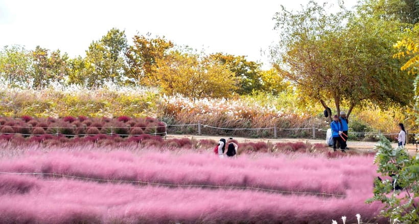 Seoul Full-Day City Tour: Hanok Village, Scenic Routes - Where this full-day tour really shines: the Seoul-to-nature-to-tradition flow