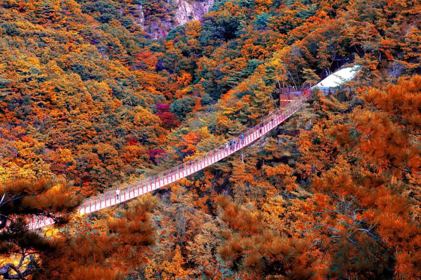 Seoul Full-Day City Tour: Hanok Village, Scenic Routes - Mt. Gamaksan: the suspension bridge and a short hike to fall views