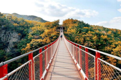 Seoul Full-Day City Tour: Hanok Village, Scenic Routes - Haneul (Sky) Park and the silver grass fall festival views