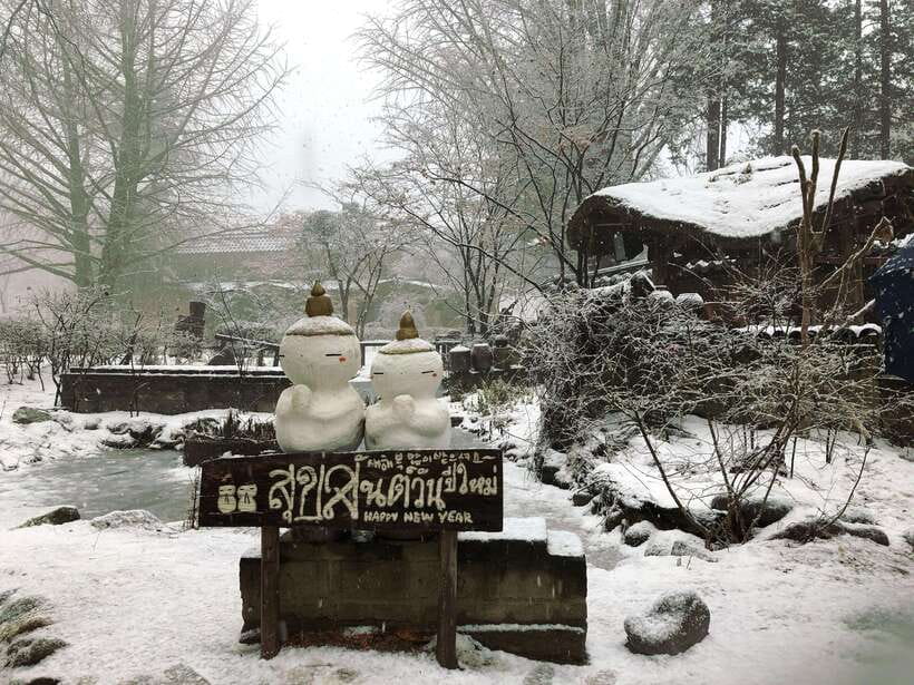 Seoul: Full-Day Winter Trip Ski Resort, Ice Valley, Namiseom - Key Things I’d Pay Attention To