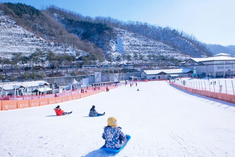 Seoul: Full-Day Winter Trip Ski Resort, Ice Valley, Namiseom - Winter in One Day: Ski Lessons, Nami Island Strolls, and Ice Valley Photos