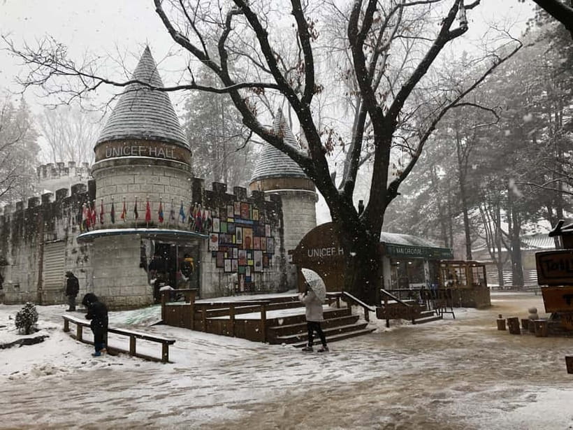 Seoul: Full-Day Winter Trip Ski Resort, Ice Valley, Namiseom - Price and Value: Is $48 a Good Deal for This Winter Mix?