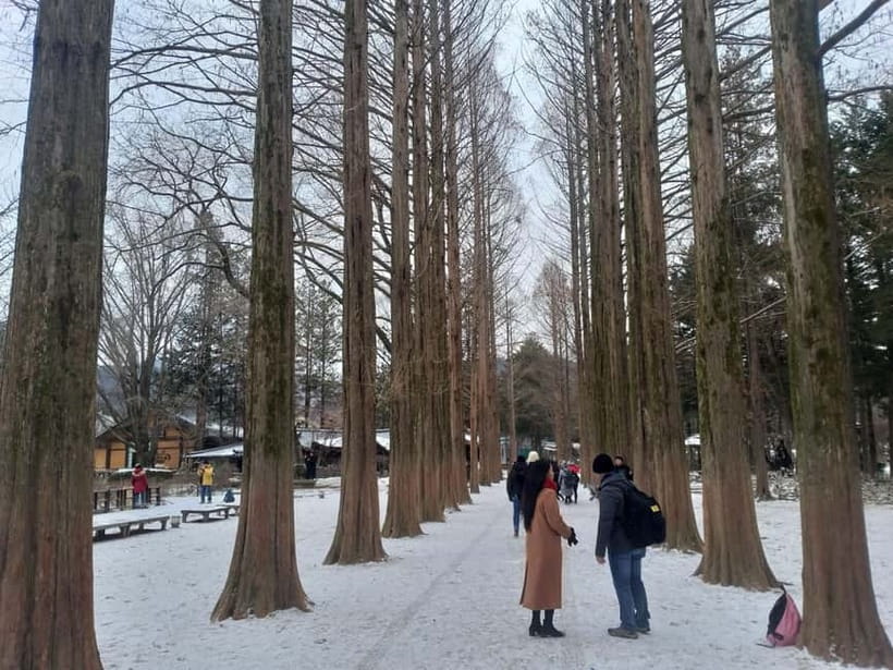Seoul: Full-Day Winter Trip Ski Resort, Ice Valley, Namiseom - Pacing Reality Check: What Feels Great, What Might Feel Long