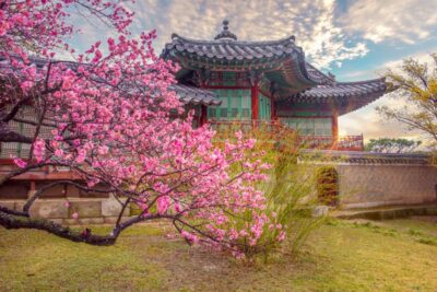 Seoul: Gyeongbok Palace and Bukchon Hanok Walking Tour - Gyeongbokgung Palace walkthrough: more than photos
