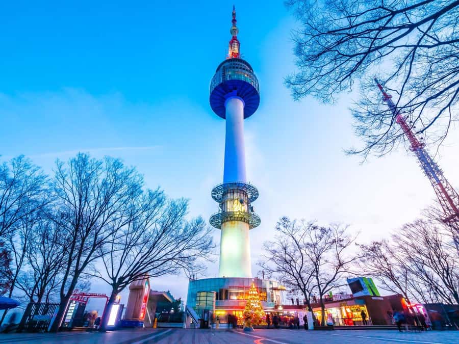 Seoul: Gyeongbokgung / Hanok Village / N Seoul Tower - Lunch That Keeps the Day Moving: Samgyetang