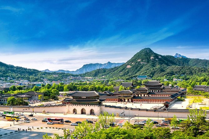Seoul: Gyeongbokgung Palace Half day Tour - The guide experience: English you can actually use