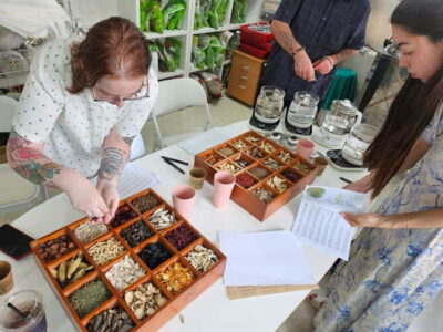 Seoul: Herbal Tea Class & Korean Medicine Tour - Your Around-40-Herb “Touch Table” in TKM