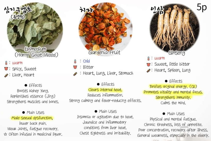 Seoul: Herbal Tea Class & Korean Medicine Tour - Optional Korean Medicine Add-Ons (And the Extra Costs)