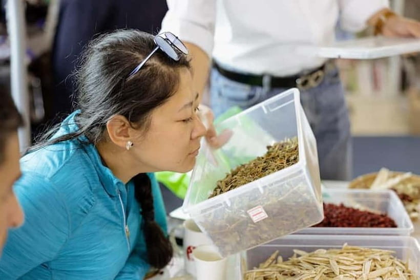 Seoul: Herbal Tea Class & Korean Medicine Tour - Who This Tour Fits Best (And Who Might Hesitate)
