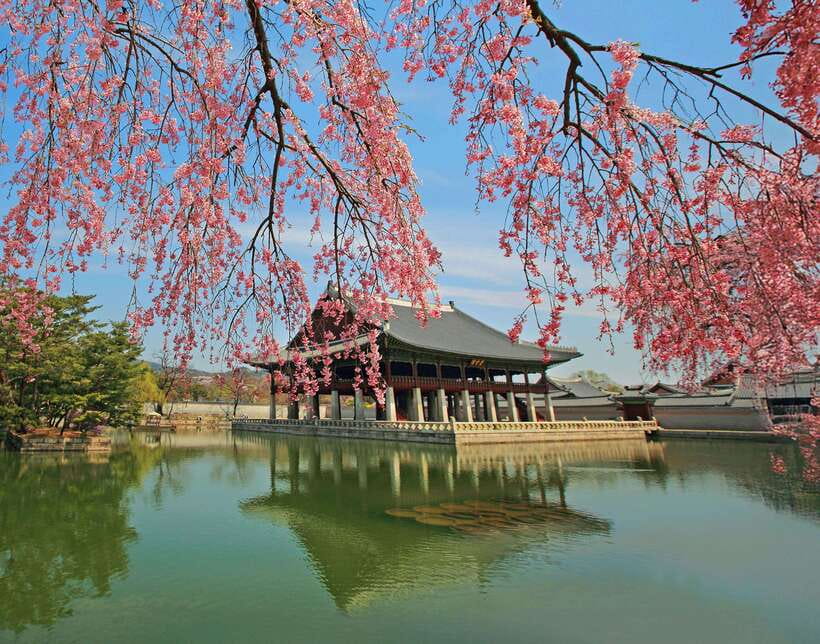 Seoul Highlights: Gyeongbok Palace, Insadong & N Seoul Tower - How This Tour Works: 4 to 8 Hours, Not a 20-Site Sideshow