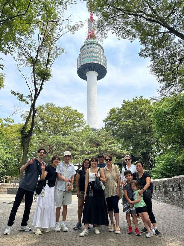 Seoul Highlights: Gyeongbok Palace, Insadong & N Seoul Tower - Price and Value: Why $26 Can Make Sense