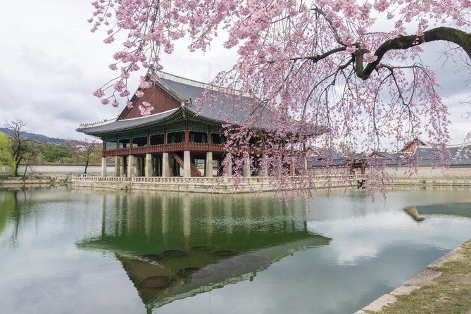 Seoul Highlights & Hidden Gems – Private Tour with Photo Service - A Private Photo Tour Fixes the Biggest Seoul Problem: Getting Good Shots