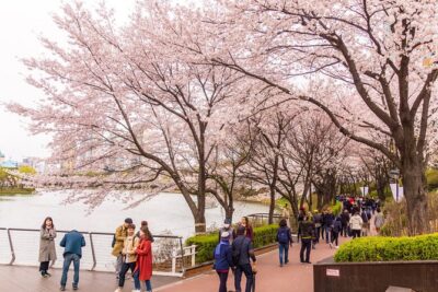 Seoul Highlights & Hidden Gems – Private Tour with Photo Service - Door-to-Door Logistics: Pickup, Private Car, and the Time You Save