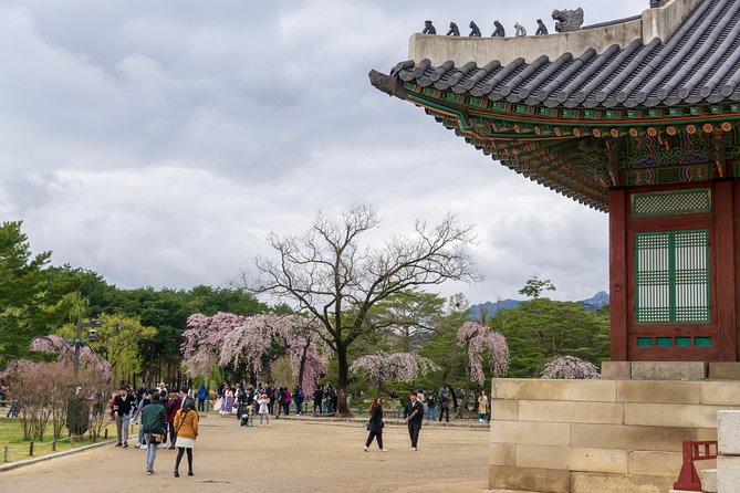 Seoul Highlights & Hidden Gems – Private Tour with Photo Service - Namsangol Hanok Village: A Softer, Restored Taste of Old Korea
