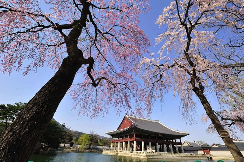 Seoul: Highlights of Seoul Full-Day Tour - Bukchon Hanok Village: Traditional Neighborhood, Real Photo Time