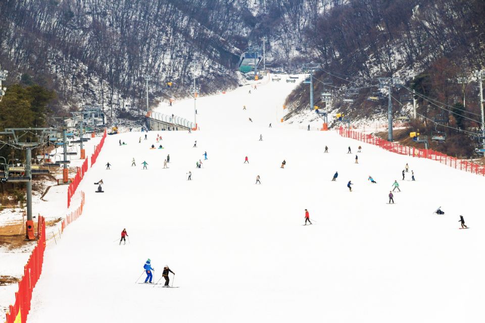 Seoul: Jisan Forest Winter Ski Day Tour with Basic Lesson - Key things I’d watch for before you go