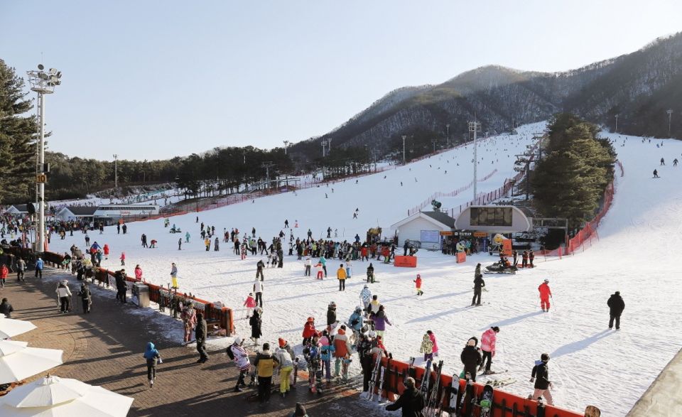 Seoul: Jisan Forest Winter Ski Day Tour with Basic Lesson - Seven slopes and real free time: what you do after the lesson matters