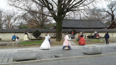 Seoul: Maisan Cherry Blossom and Jeonju Hanok Day Tour - Maisan Cherry Blossoms: The 3-Kilometer Tunnel Moment