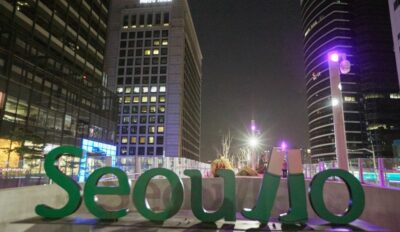 Seoul: Moonlight Rainbow Fountain Show Night Tour - Getting Oriented Fast: Meet at City Hall and Start Smooth