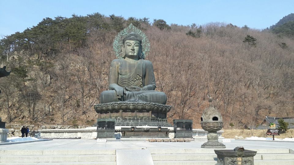 Seoul: Mt Seorak + Naksansa Temple or Nami Island Group Tour - Key points to know before you go