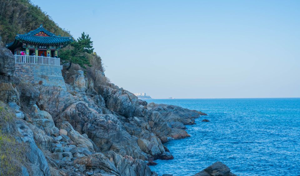 Seoul: Mt Seorak + Naksansa Temple or Nami Island Group Tour - Nami Island option: half-moon walks, film-famous forests, and wildlife snacks