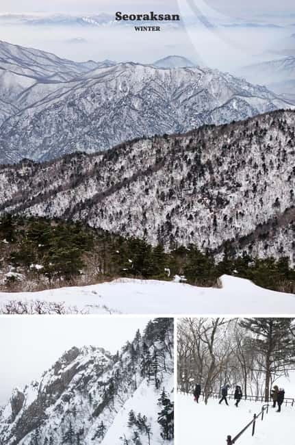 Seoul: Mt. Seorak & Nami Island & Eobi Ice Valley Day Tour - Key things to know before you go