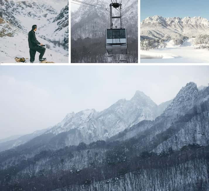 Seoul: Mt. Seorak & Nami Island & Eobi Ice Valley Day Tour - Nami Island: tree-lined charm, photo spots, and the tourist trade-off