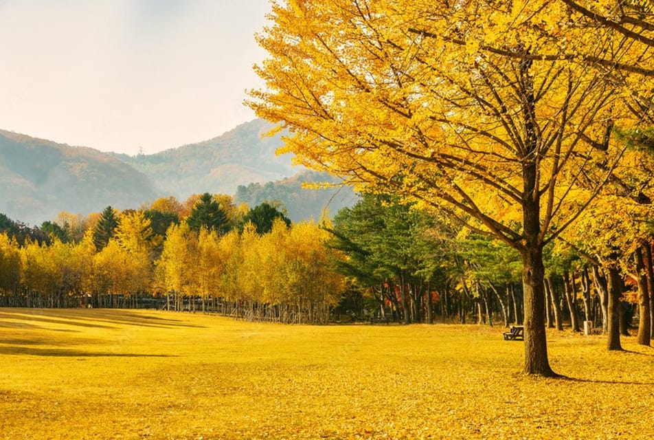 Seoul: Mt. Seorak & Nami Island & Eobi Ice Valley Day Tour - Price and logistics: is $93 good value for a 12-hour day?