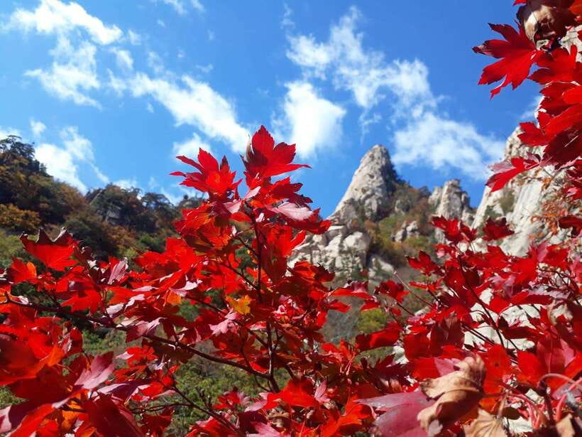 Seoul: Mt.Seorak, Nami Island, No Shopping(+RailBike Option) - Seoraksan time: UNESCO scenery, a big Buddha, and self-guided trails