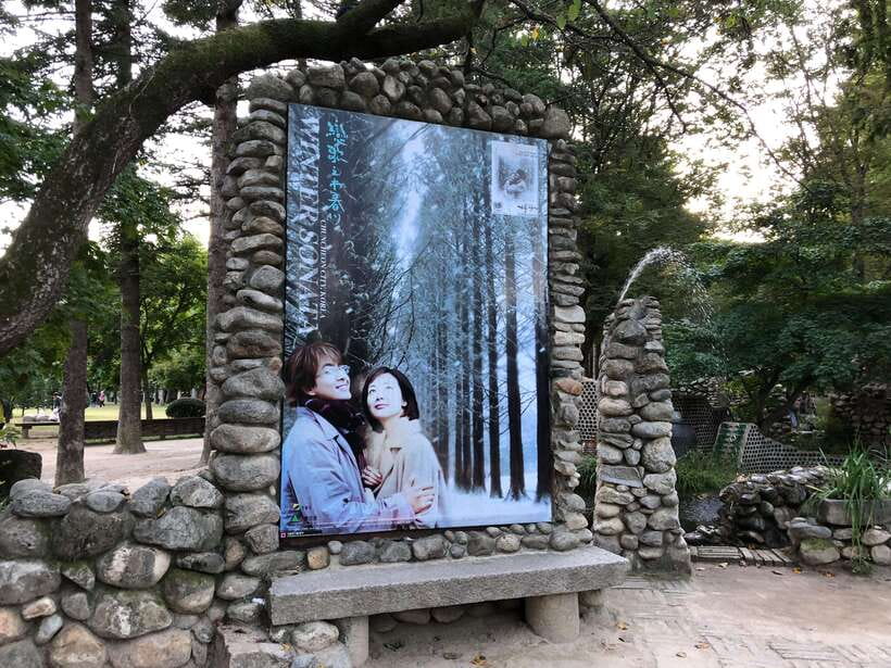 Seoul: Mt.Seorak, Nami Island, No Shopping(+RailBike Option) - Nami Island: river and tree walks with K-drama-era nostalgia