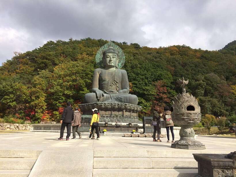 Seoul: Mt.Seorak(+CableCar Option)+Sokcho Fish Market&Beach - Trading Seoul for Seoraksan and Sokcho in one 14-hour day